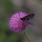 era quasi verso sera..... era quasi verso sera.....