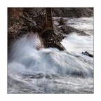 Aquatic Dance Aquatic Dance