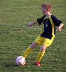 campione in erba sull'erba campione in erba sull'erba