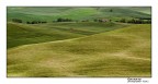 Nel cuore della val d'Orcia 3 Nel cuore della val d'Orcia 3
