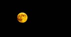 E la luna bussò... E la luna bussò...