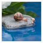 Al mare con la mia mamma.. Al mare con la mia mamma..