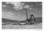 Dead Vlei Dead Vlei