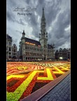 Brussels' Flower Carpet Brussels' Flower Carpet