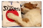 Sudoku Sudoku