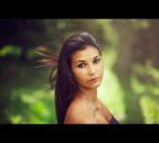 Golden forest Golden forest