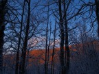 Una foto per rimanere nel tema centrale di questi giorni... la neve!!
Buon Anno a Tutti