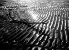 solo in spiaggia solo in spiaggia