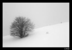 Lonely Lonely