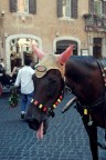piazza di spagna. piazza di spagna.