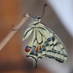 Una Prospettiva Diversa...!!! Una Prospettiva Diversa...!!!