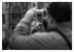 fotografi fotografi