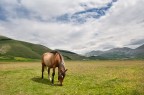 Castelluccio di Norcia Castelluccio di Norcia
