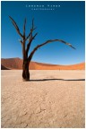 NMB|sossusvlei 6 NMB|sossusvlei 6