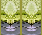 Viperine   2012