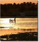 Self Family Portrait Self Family Portrait