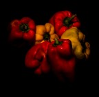 still life still life