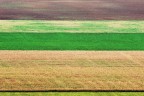 tappeto di campagne tappeto di campagne