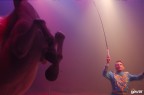 circo mundial circo mundial