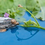 ...la favola continua.. ...la favola continua..