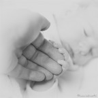 la forza della vita la forza della vita