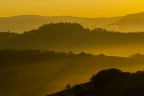 Crete senesi - alba dorata Crete senesi - alba dorata
