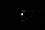 Una nuova Galassia Una nuova Galassia