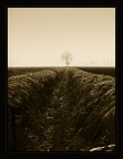 Along the way Along the way