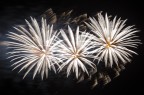 Fireworks #2: Fiori bianchi Fireworks #2: Fiori bianchi