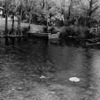 pedante ricerca tonale pedante ricerca tonale