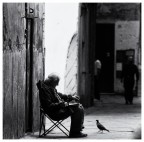 quasi amici quasi amici