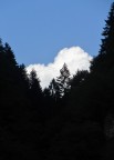 Magritte Magritte