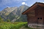 Alpenzu Alpenzu