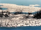 Acquisizione con lo scanner di una vecchia foto scattata in Camargue