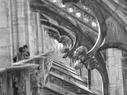 duomo duomo