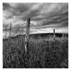 la privata proprietà la privata proprietà