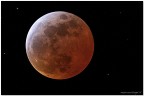 Red moon Red moon