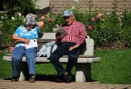 Vita da pensionati