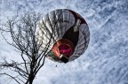 l'albero e il pallone l'albero e il pallone