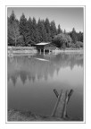 Scorcio del Lago di Fi - II Ver.