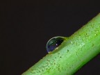 Macro goccia Macro goccia