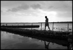 ..natura in bianco e nero