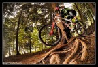MTB|BackToTheRoots MTB|BackToTheRoots