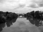 Tevere visto da Ponte Milvio