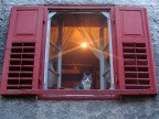 guarda chi passa ...
