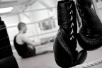 KnockOut KnockOut
