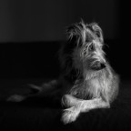 la Pina