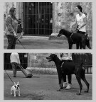 dittico_street dittico_street