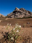 La Valle della Luna (Sardegna - Capo Testa) La Valle della Luna (Sardegna - Capo Testa)