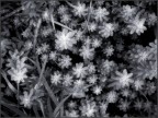 Texture Texture